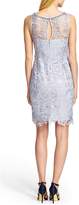 Thumbnail for your product : Adrianna Papell Embellished Lace Cocktail Dress