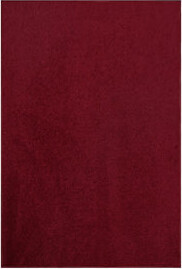 Isabelle & Max Galaxy Way Kids Favorite Area Rugs Burgundy - Mat, Indoor, Stain Resistant, Perfect For Living Room, Bedroom, Dining Room, Entryway, Doorway, Pet & Ki