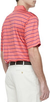 Thumbnail for your product : Peter Millar Striped Short-Sleeve Polo, Red/Blue