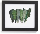 Thumbnail for your product : Kale The Oyster's Pearl 'Kale' Framed Print