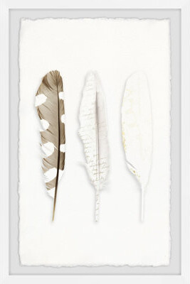 Orren Ellis Vanishing Feather Framed Print