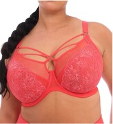 Thumbnail for your product : Elomi Women's Plus Size Brianna Strappy Underwire Plunge Bra
