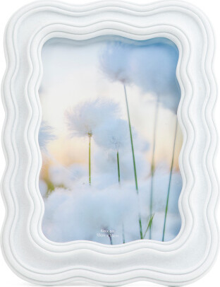 TJMAXX 4X6 Concave Squiggle Tabletop Picture Frame