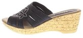 Thumbnail for your product : Spring Step Women's Shanta Wedge Sandal