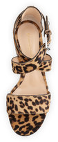 Thumbnail for your product : Gianvito Rossi Leopard-Print Calf Hair Low-Heel Sandal