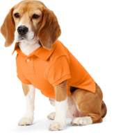 Thumbnail for your product : Ralph Lauren Big Pony Mesh Dog Polo Shirt