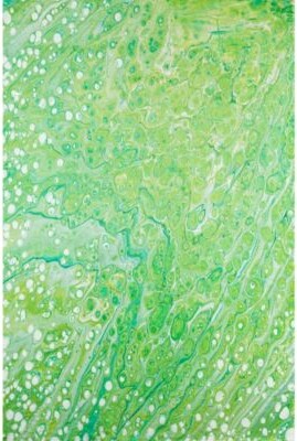 Dalyn Kikiamo Washable Kk5 Area Rug