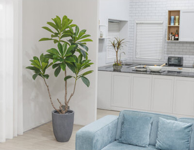 74.6'' Artificial Japanese Blueberry Tree In A Shell Designed Fiberstone Planter Perfect For Indoor And Outdoor Use