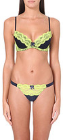Thumbnail for your product : Isabella Collection Myla padded plunge bra