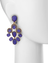 Thumbnail for your product : Oscar de la Renta Faceted Resin Chandelier Earrings