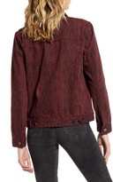 Thumbnail for your product : Blank NYC Snake Print Denim Jacket