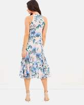 Thumbnail for your product : Cooper St Floral Courtyard Midi Dress