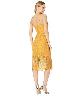BCBGMAXAZRIA Midi Lace Cocktail Dress (Golden Glow) Women's Dress