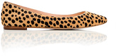 Thumbnail for your product : Loeffler Randall Quinnie pointed toe flat