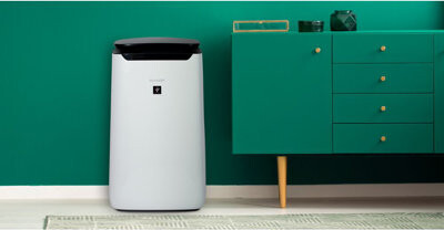 Sharp Plasmacluster Ion Air Purifier and True HEPA for Large Rooms 502 Sq. Ft.