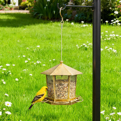 Arlmont & Co. Vintage Metal Bird Feeder With Hexagonal Gazebo Design Outdoor Hanging Feeder For Finches And Wild Birds Heavy-Duty Construction With Easy-Fill Lid