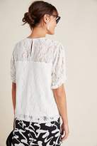 Thumbnail for your product : Anthropologie Parvati Lace Top