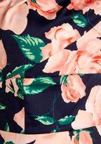 Thumbnail for your product : Styling Speech Dress in Roses