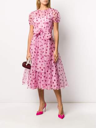 Dolce & Gabbana polka dot sheer dress