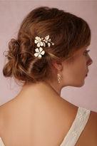 Thumbnail for your product : BHLDN Clematis Pins (2)