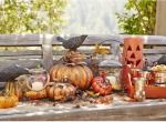 Thumbnail for your product : Napa Style Hammered Harvest Pumpkins