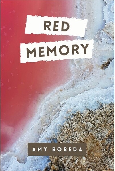 Flowersong Press Red Memory - by Amy Bobeda (Paperback)