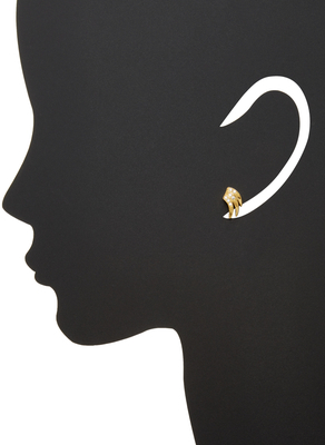 Elizabeth Cole Crystal Stud Earrings