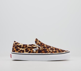 leopard vans uk