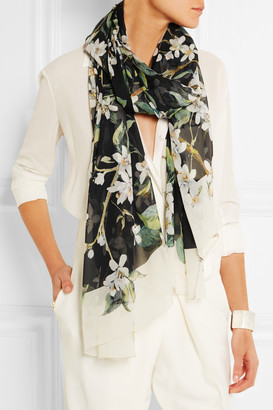 Dolce & Gabbana Floral-print silk-chiffon scarf