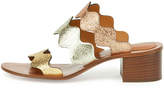 Thumbnail for your product : Chloé Scalloped Triple-Strap Chunky-Heel Sandal, Multicolor