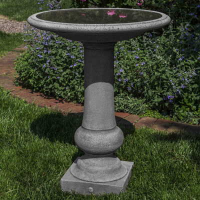 Darby Home Co Aitkin Garden Birdbath