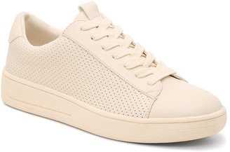 steve madden dodger sneaker