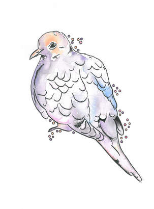 Pigeon North and Fauna Pastel Art Print
