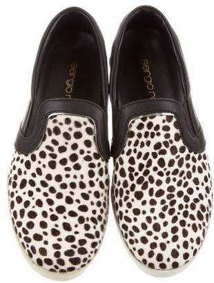 Sergio Rossi Urban Embellished Slip-On Sneakers w/ Tags