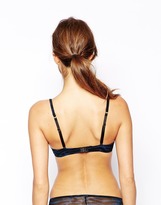 Thumbnail for your product : Ultimo The One Zara Zebra Print Bra