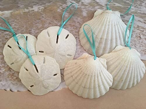 Large White Seashells and Sand Dollar Glittered Coastal Christmas Ornaments with Turquoise Ribbon, 6 pieces