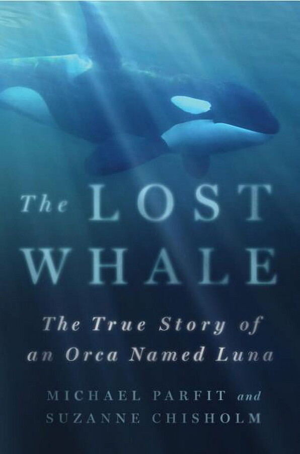 Lost Whale, (Hardcover)