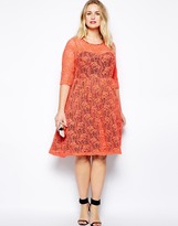 Thumbnail for your product : Lucabella Plus Size Midi Lace Party Dress With Contrast Lining