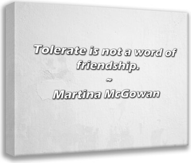 Latitude Run Artsy Quote "Tolerate is not a word of friendship." By Martina McGowan Gallery Wrapped Canvas