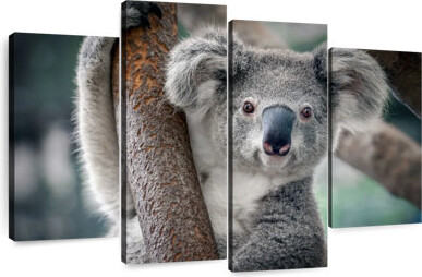 Ebern Designs Brampt Happy Koala