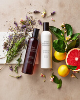 Thumbnail for your product : John Masters Organics 8 oz. Shampoo for Normal Hair