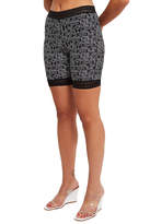 Thumbnail for your product : Opening Ceremony Stencil Banded Bike Short