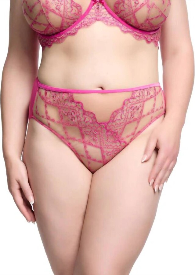 Dita Von Teese Yvonne Hi Cut Brief In Rubine