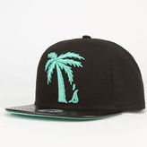 Thumbnail for your product : Blvd Tree Schooler Mens Snapback Hat