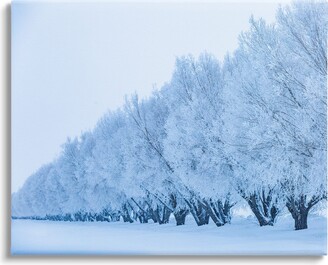 Stupell Industries Winter Tree Grove Snow Covered Branches Photography