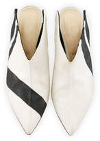 Thumbnail for your product : Tibi Jase Striped Canvas Mule