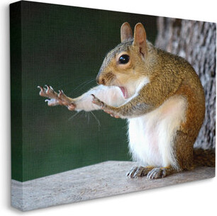 Millwood Pines Funny Shocked Pose Squirrel On Canvas by Mary McGowan Print