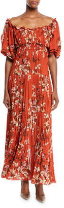 Johanna Ortiz Viajes Del Alma Off-the-Shoulder Short-Sleeve Floral-Print Silk Georgette Pleated Gown