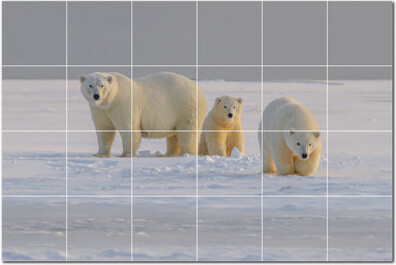 Picture-Tiles.com Bear Photo 6'' x 6'' Satin Ceramic Decorative Mural