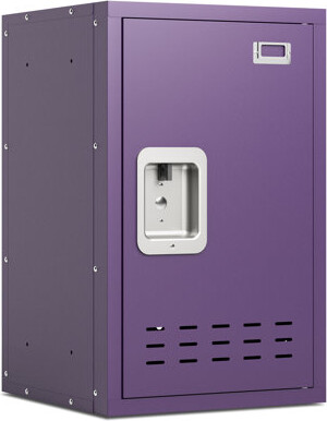 HomeNest Small Metal Locker,lockable Storage Cabinet, Lockers For Employees,office,kids Locker With Lock